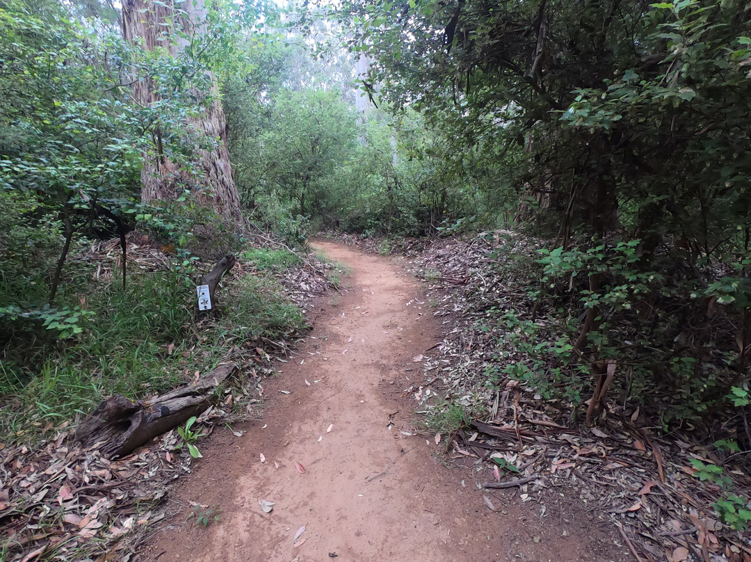 Pemberton Mountain Bike Park-彭伯顿必去景点