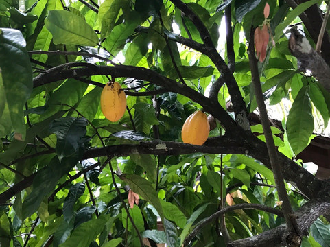 Pilgrimkondre旅游攻略图片