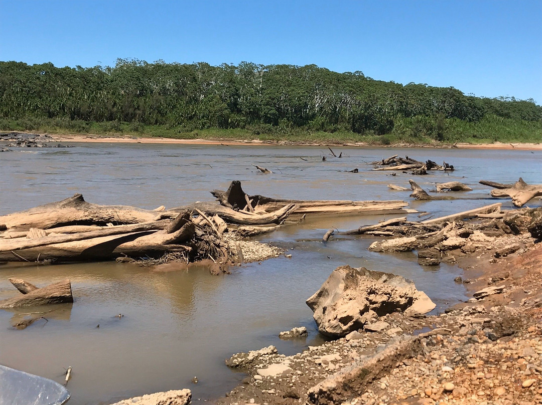 Tambopata River景点图片