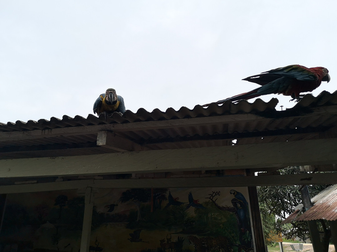 La Ruta del Bufeo-Trinidad必去景点