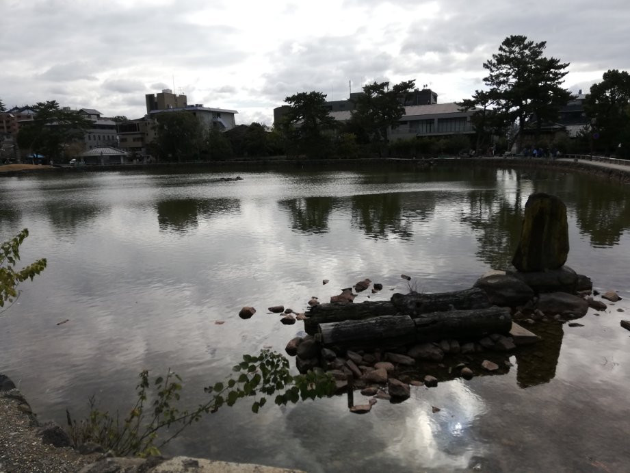 Sarusawa Pond景点图片
