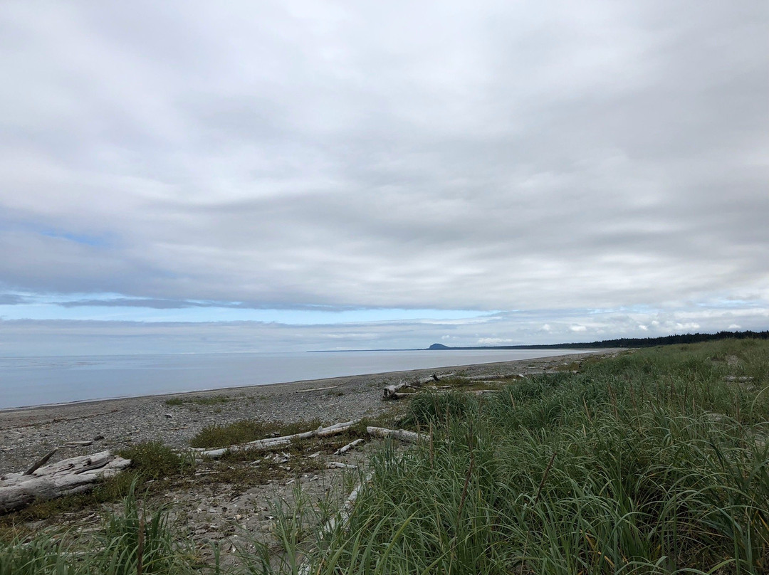 Jags Beanstalk主图