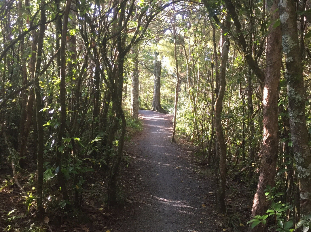 Tongariro River Trail景点图片