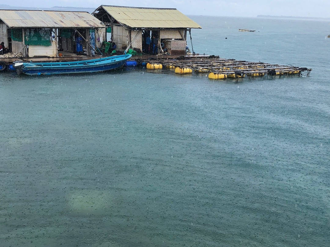 Autore Pearl Farm Tours and Showroom-Pemenang必去景点