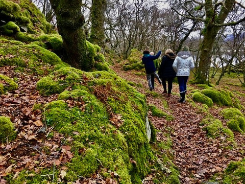 Wild West-威廉堡必去景点