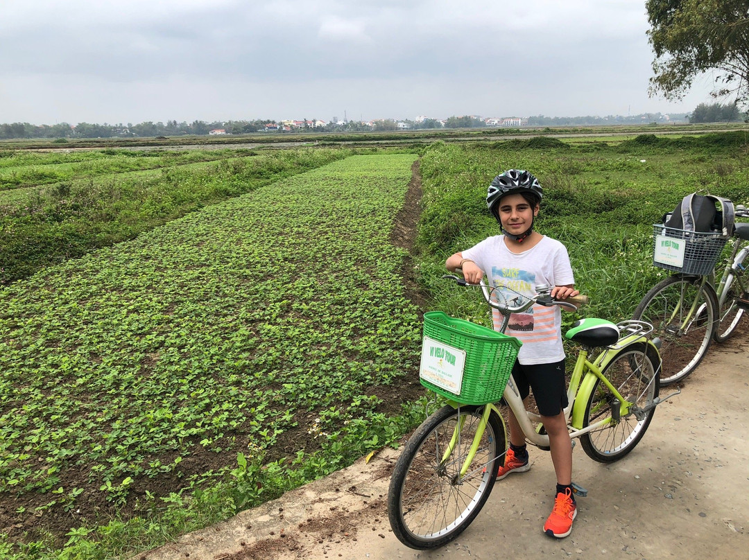 Vi Velo Tour-会安必去景点