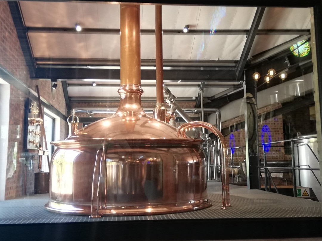 Hey Joe Brewing Company-法兰舒克必去景点