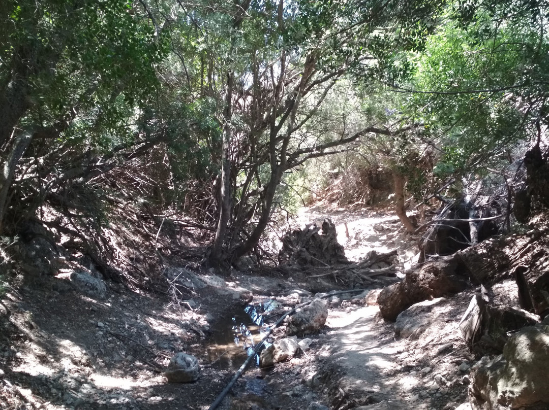 Anydri Gorge-Anidri必去景点