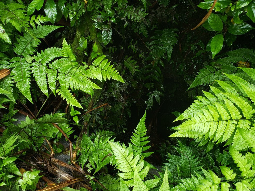 Mt Iraya-Basco必去景点