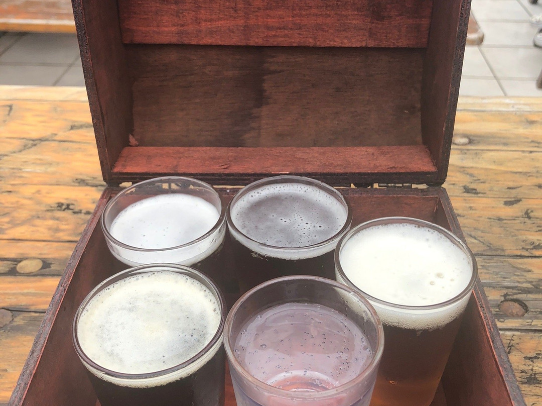 Drifter Brewing Company-开普敦中心区必去景点