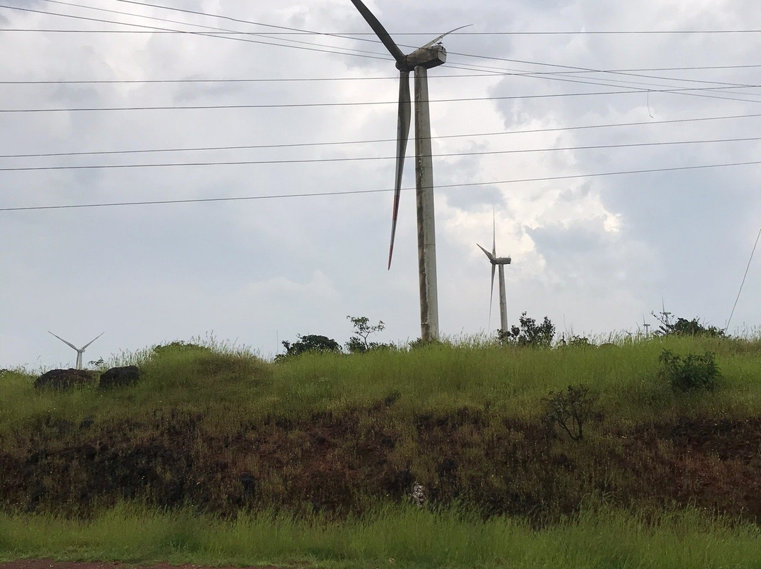 Chalkewadi Windmill Farms景点图片