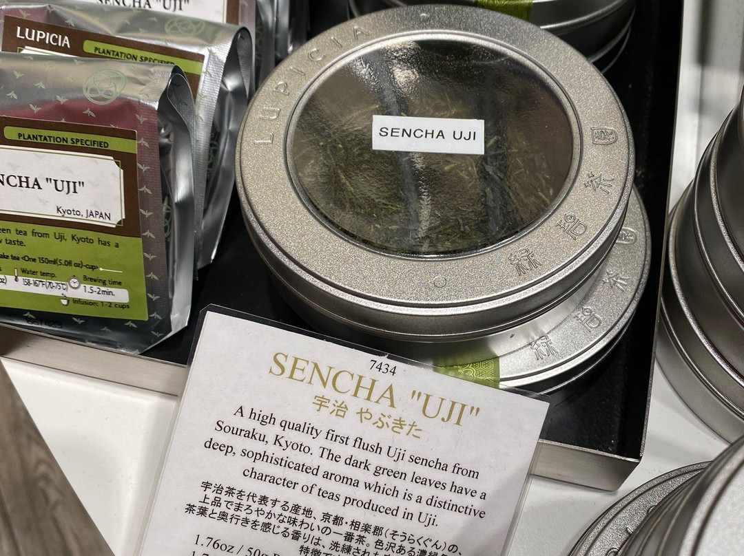 绿碧茶园景点图片