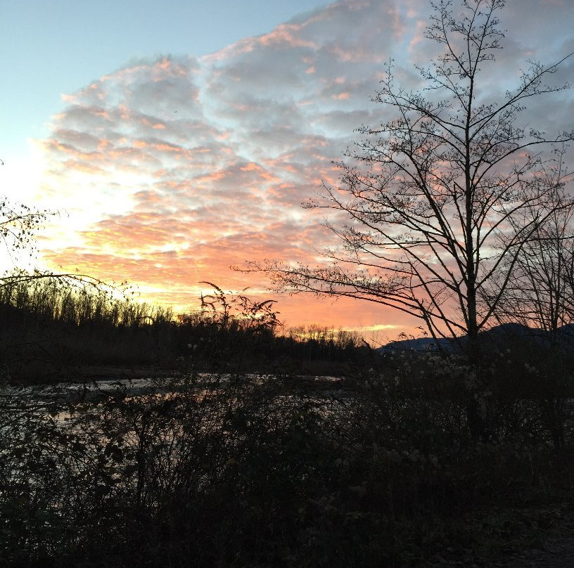 32 Vedder River Rotary Trail景点图片