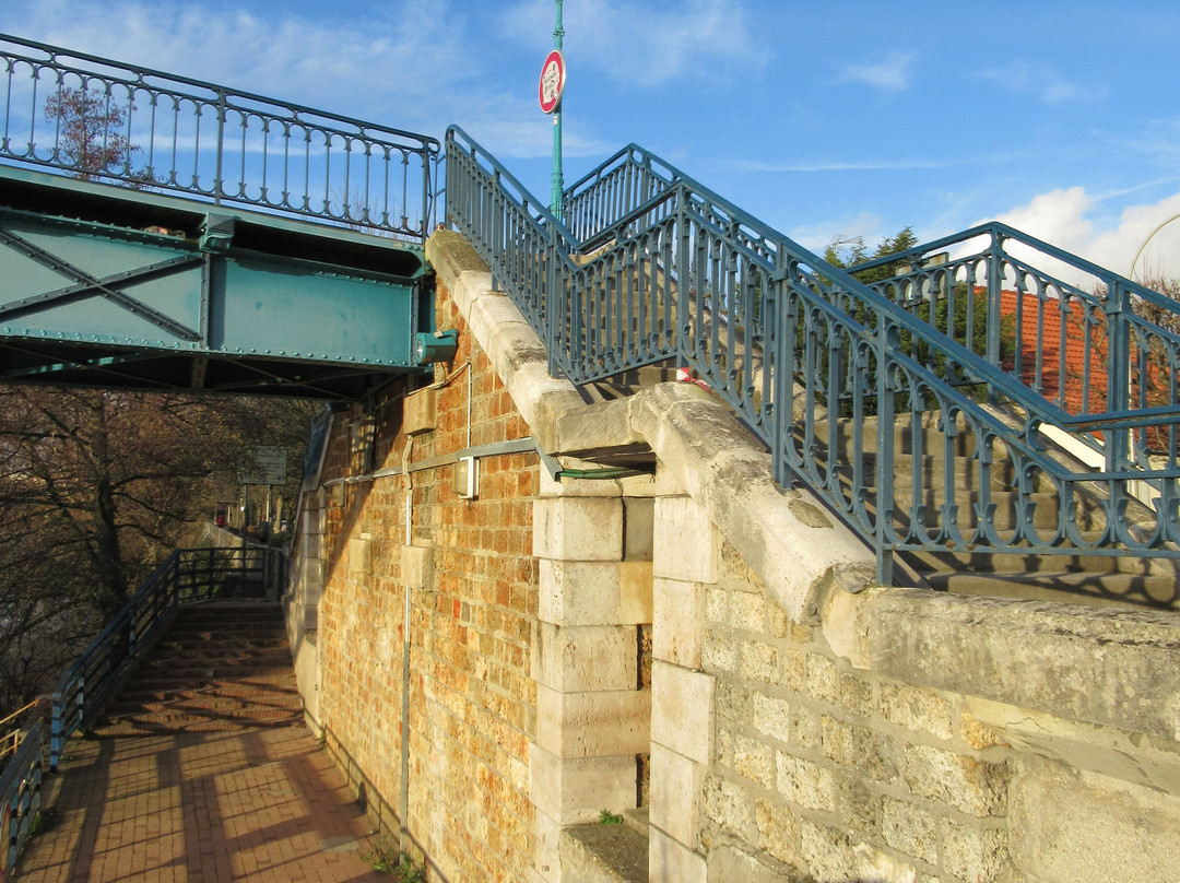 Passerelle de Bry sur Marne景点图片