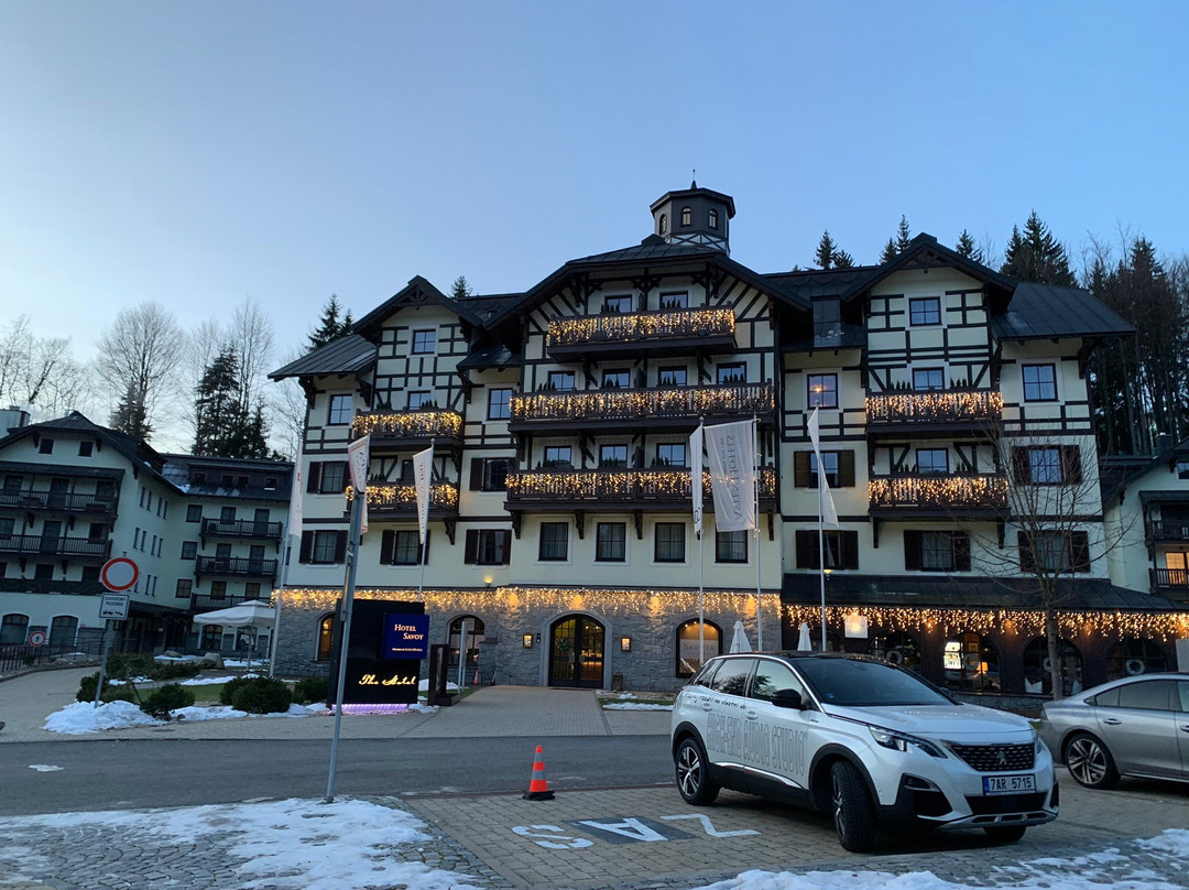 Hotel Savoy主图