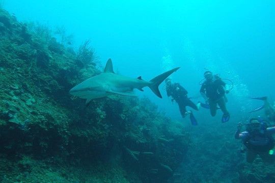 Antioquia de Aventura-麦德林必去景点