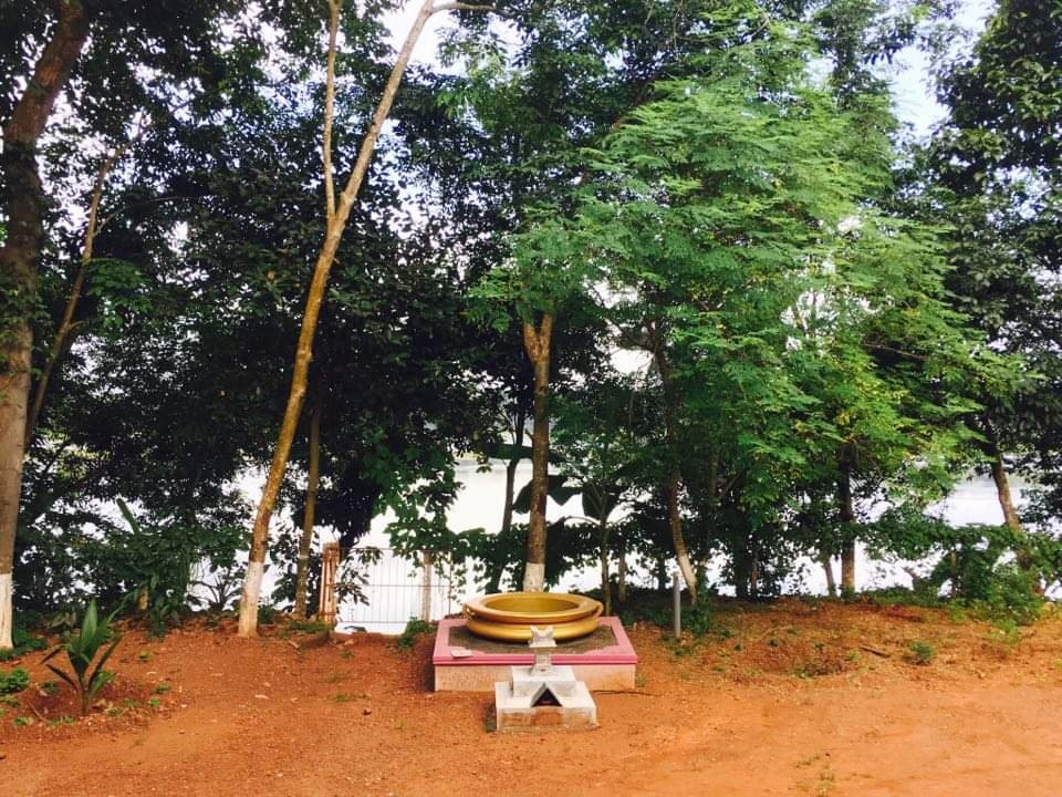 Atma Ayurvedasram景点图片