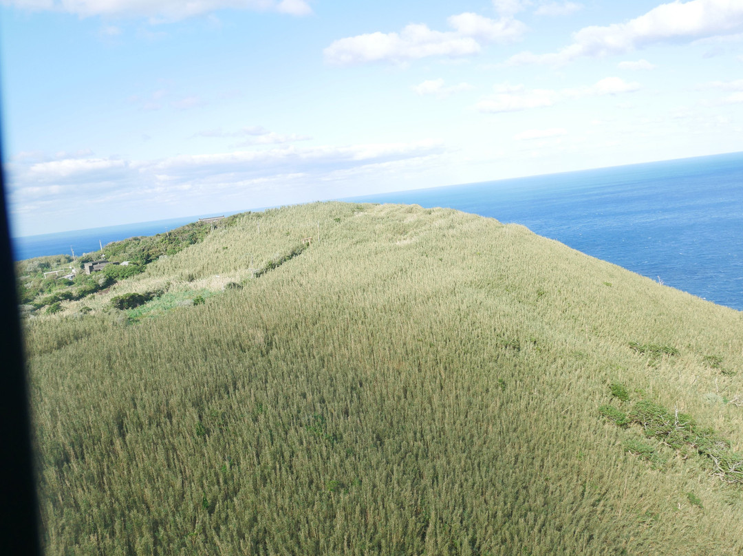 Tokyo Ai-Land Shuttle-青岛必去景点