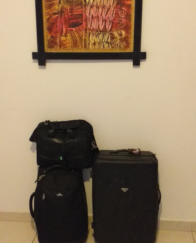 Alphonse Bidram主图