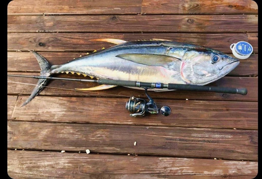 Reel Life Adventures-大开曼岛必去景点