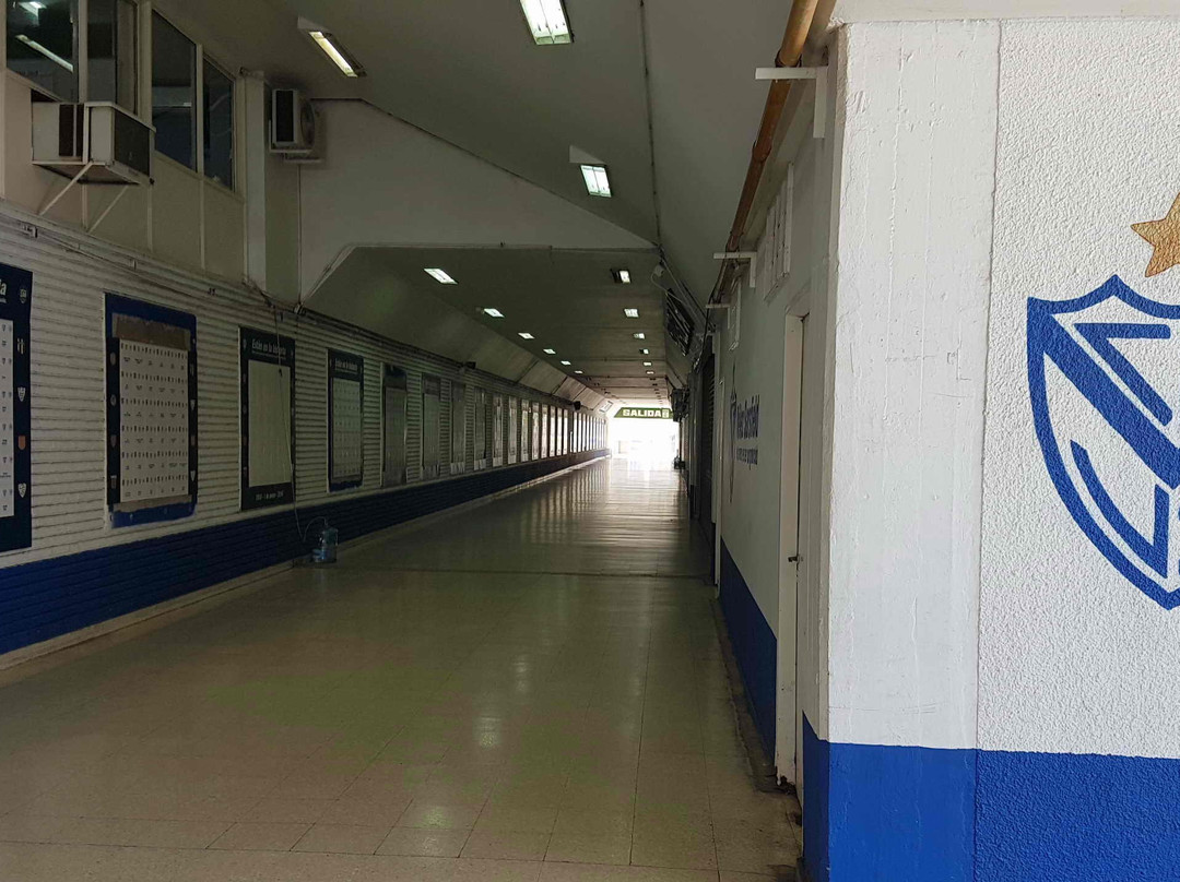 Estadio José Amalfitani景点图片