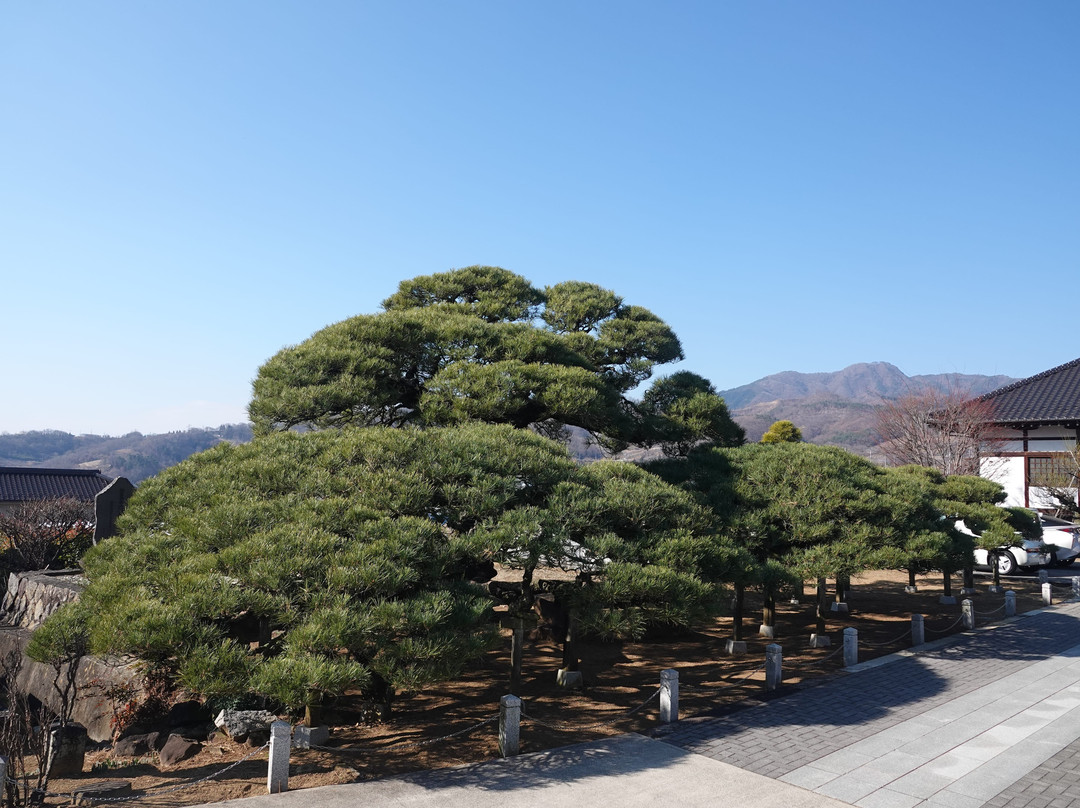 Ryusenji Temple景点图片