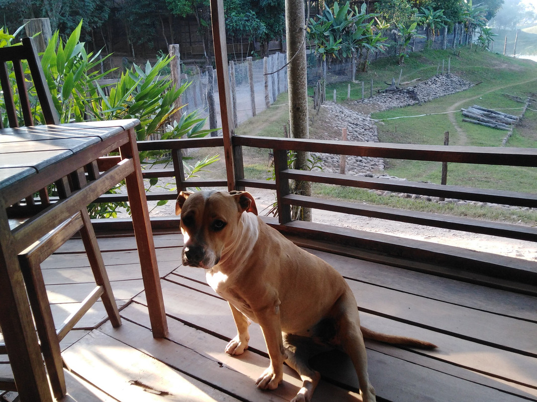 Nirvana Archipel Resort主图