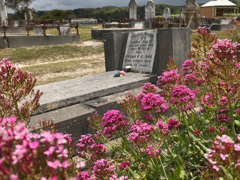 Foster Cemetery-福斯特必去景点