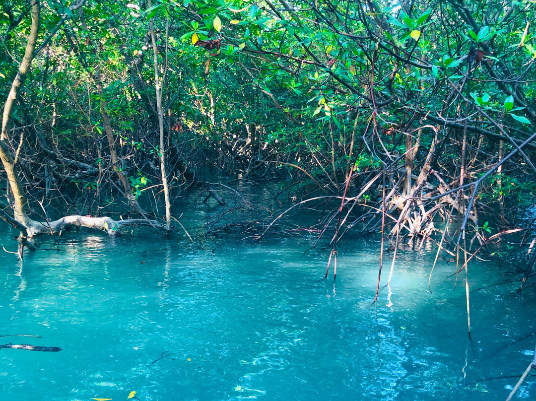 Barra das Moitas Beach-Icarai de Amontada必去景点