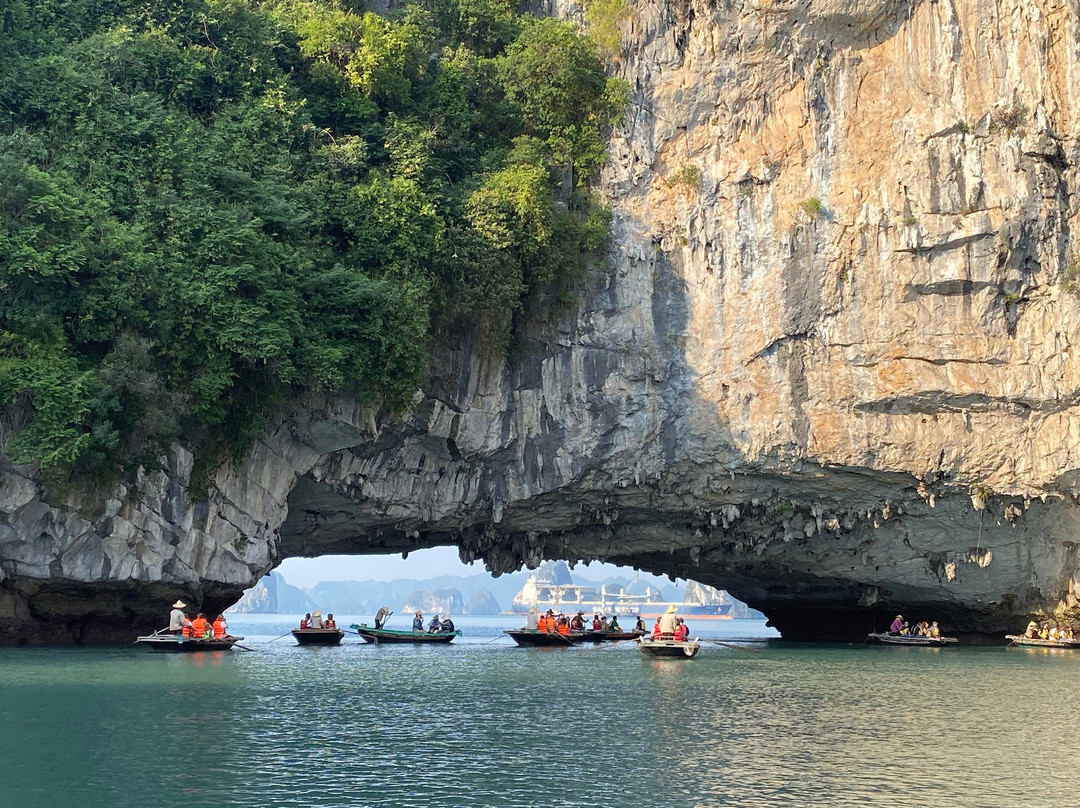 White Dolphin Cruises-河内必去景点