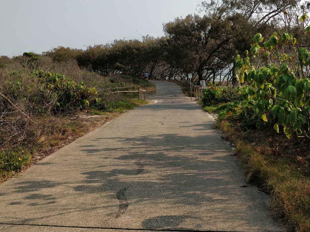 Federation Walk Coastal Reserve景点图片