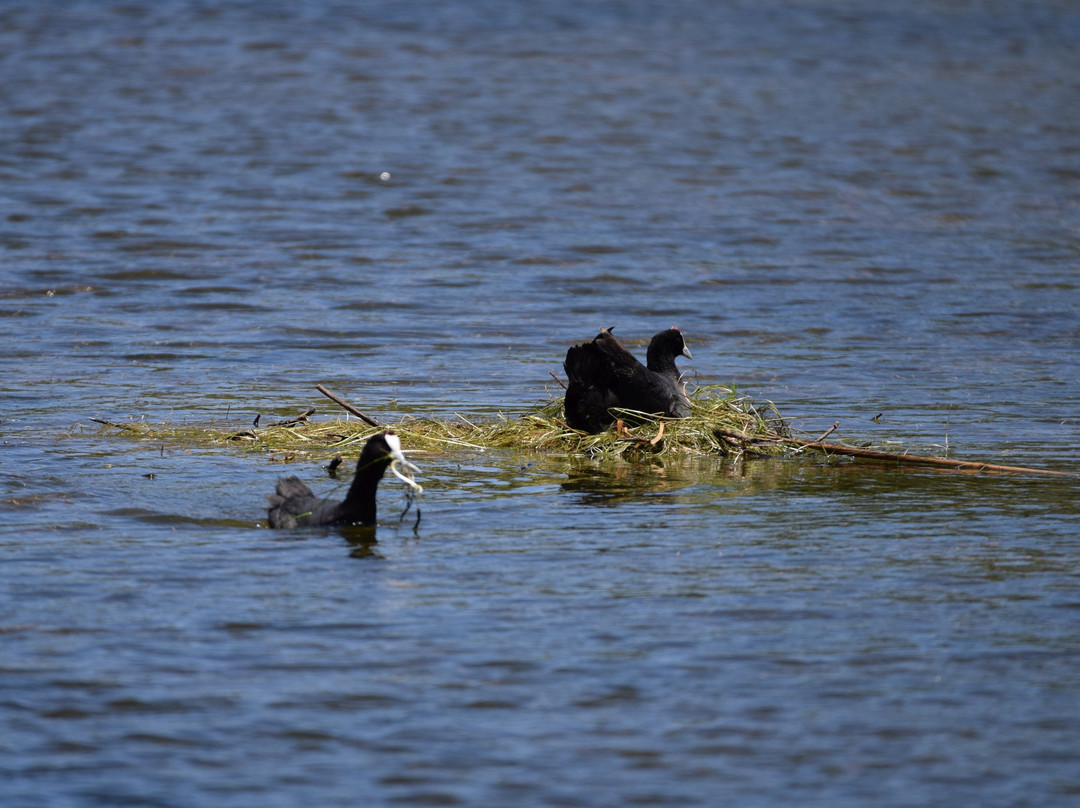 Free State National Botanical Garden-布隆方丹必去景点