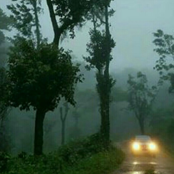 Muudana Mane Homestay主图