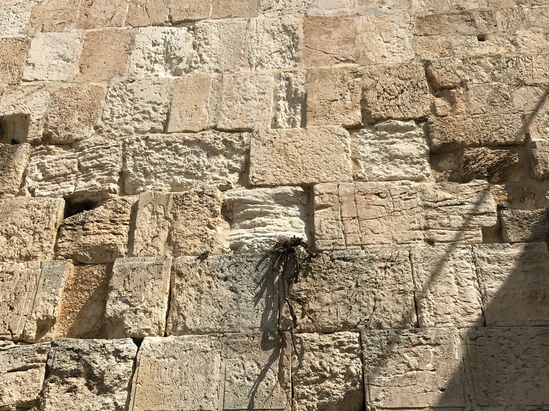 Visiter Israël-特拉维夫必去景点