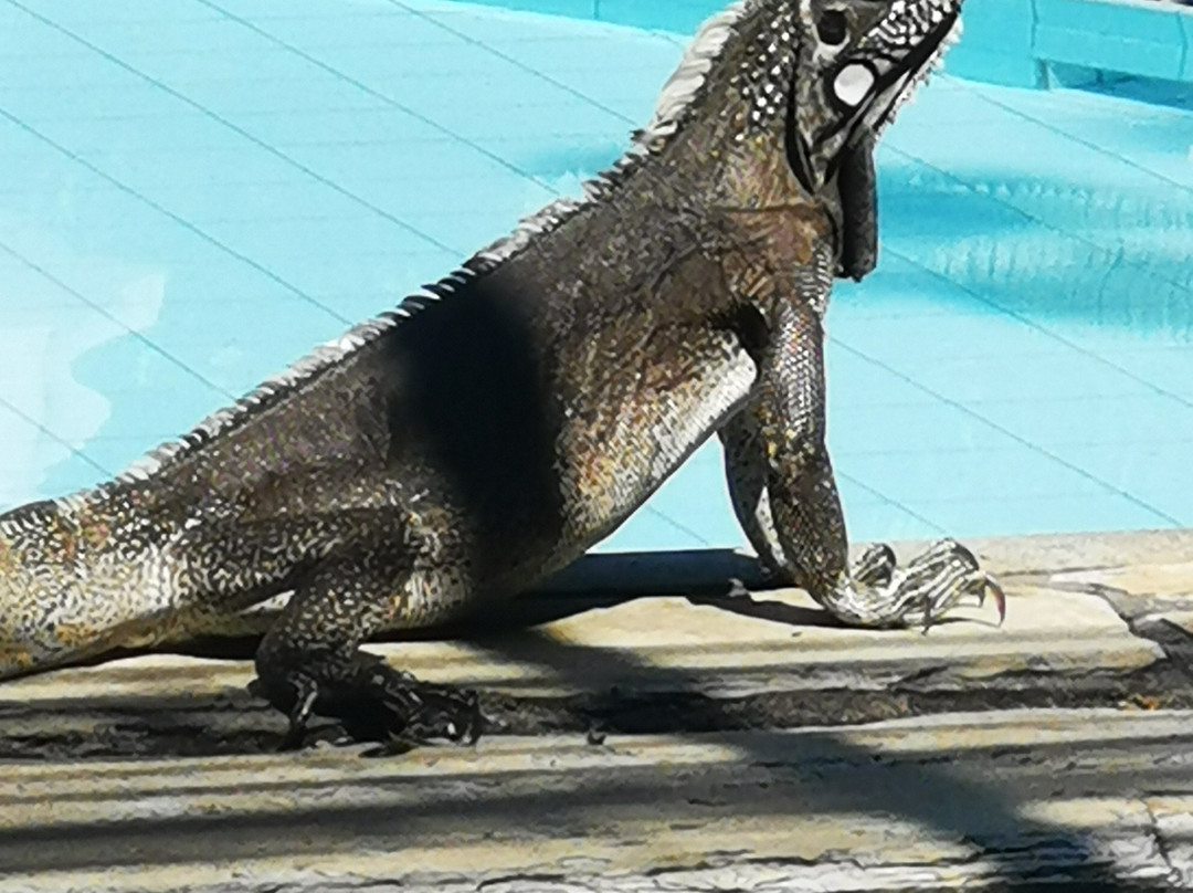 Vilangelim Eco-Pousada主图