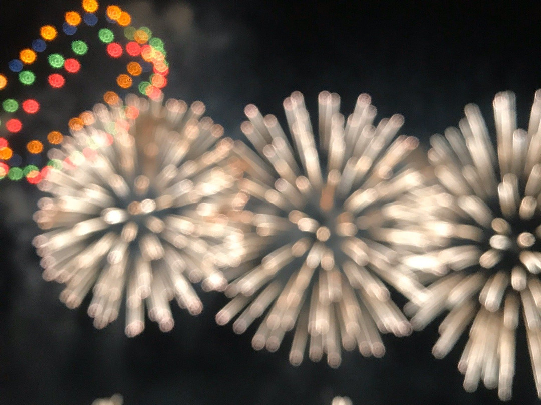 Chikugo River Fireworks-久留米市必去景点