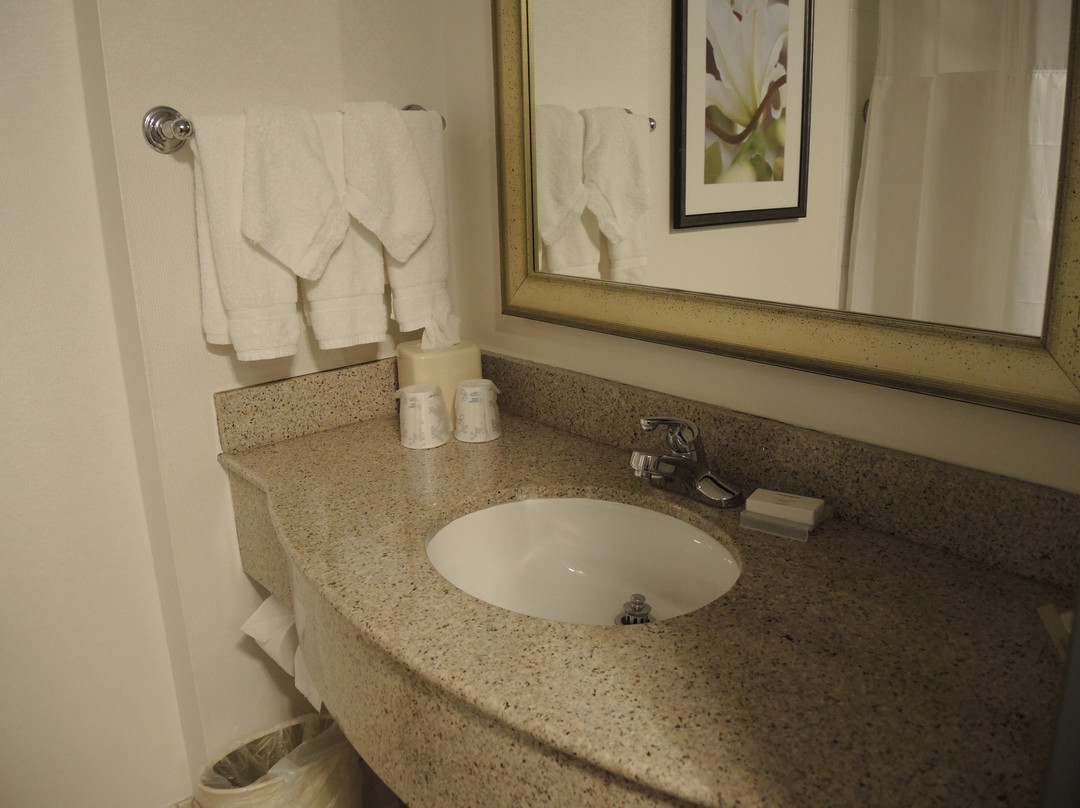 Hilton Garden Inn Worcester主图