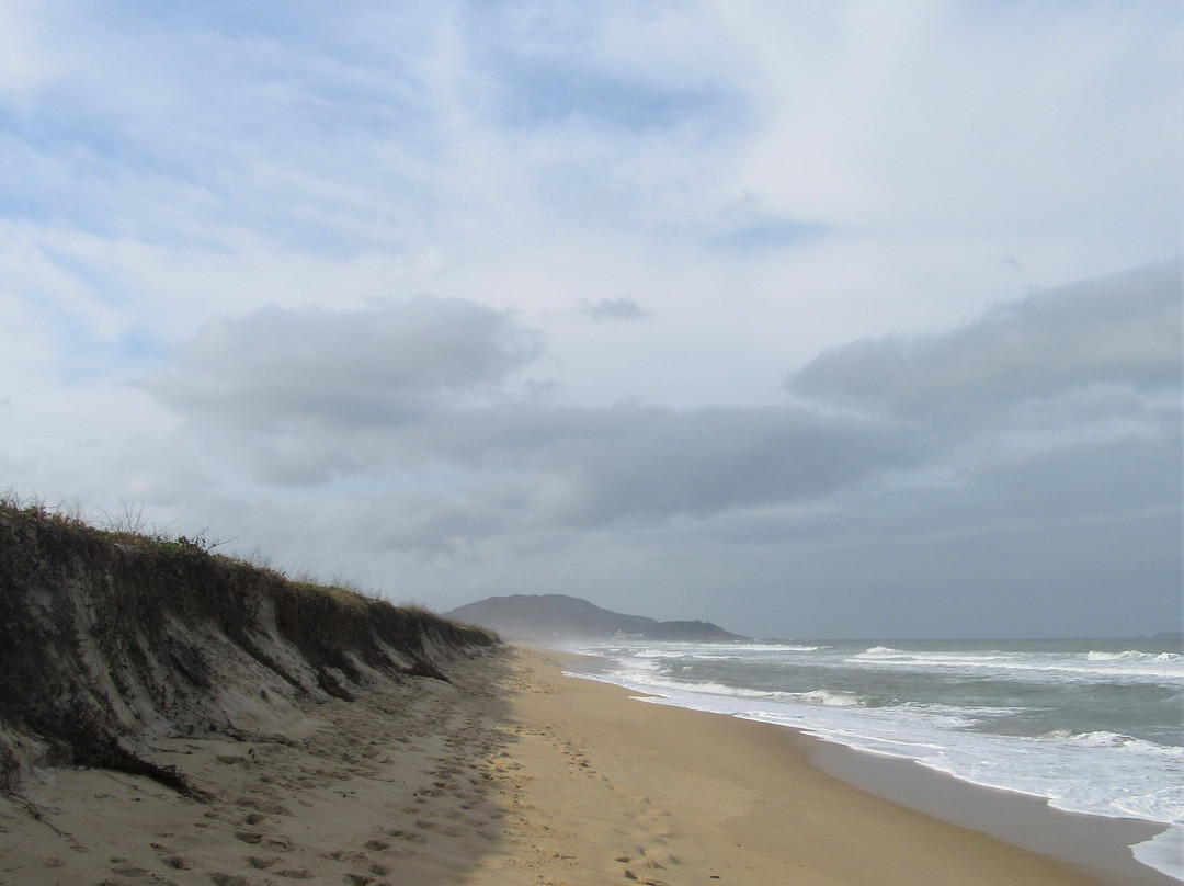 Praia do Campeche-弗洛里亚诺波利斯必去景点