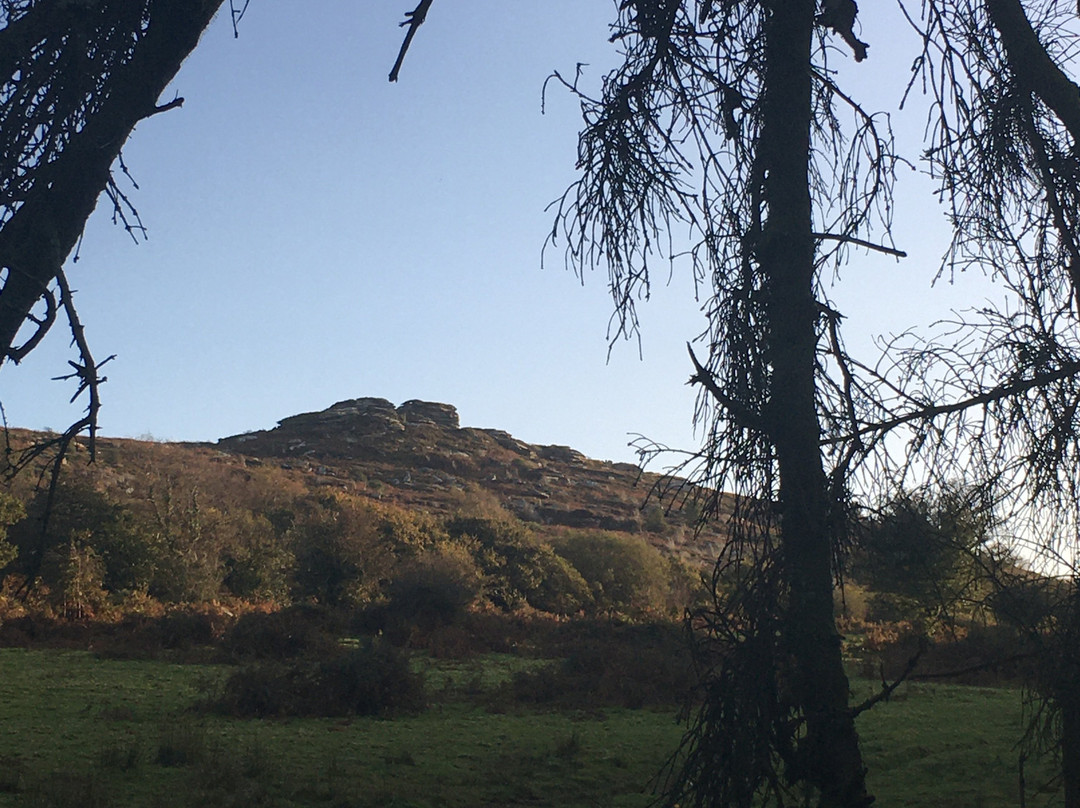North Hill and Hawks Tor circular walk景点图片
