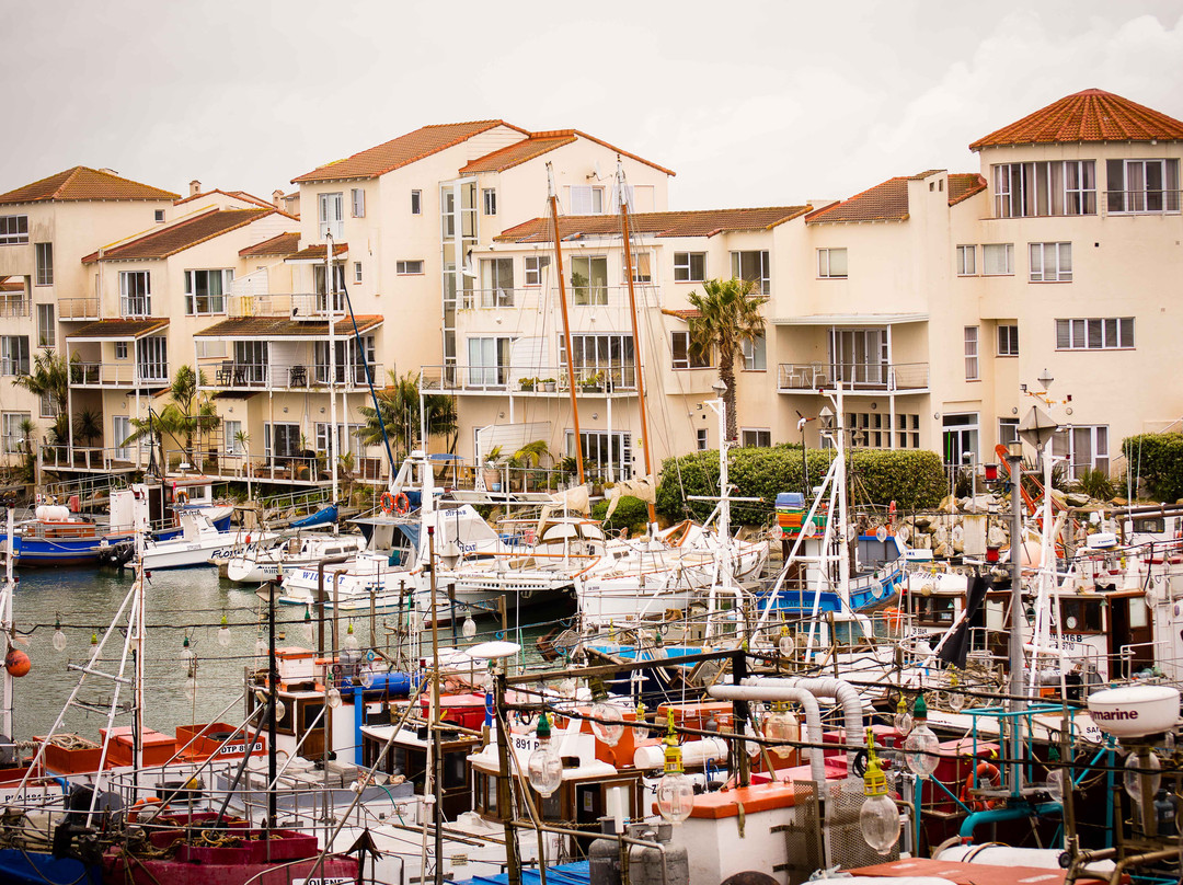 Port St Francis-圣法兰西斯港必去景点