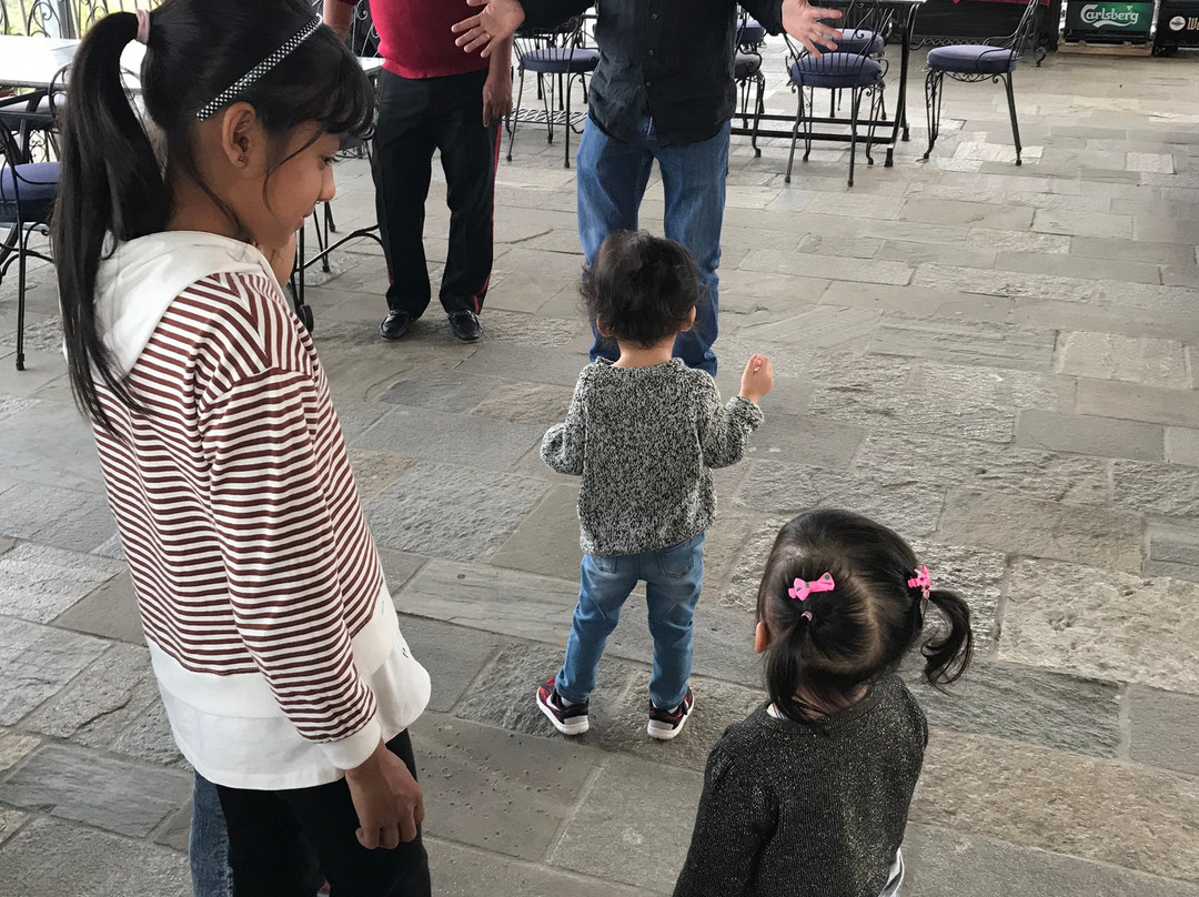 Hotel Himalayan Horizon主图