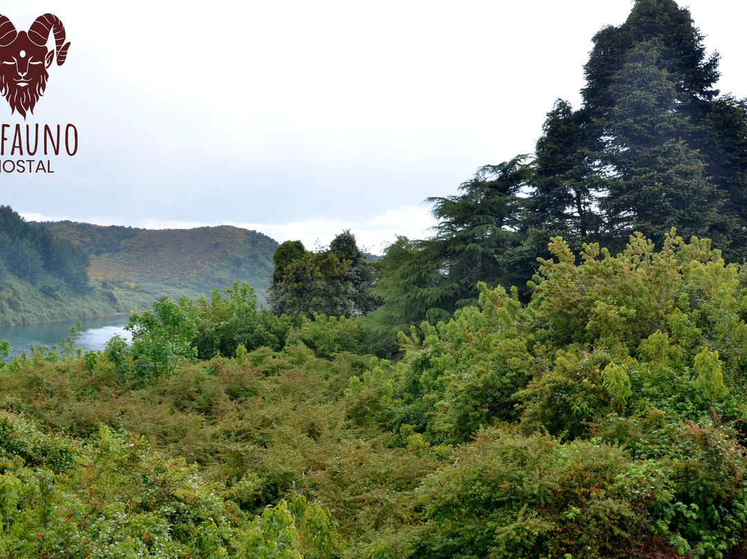 Hostal El Fauno主图