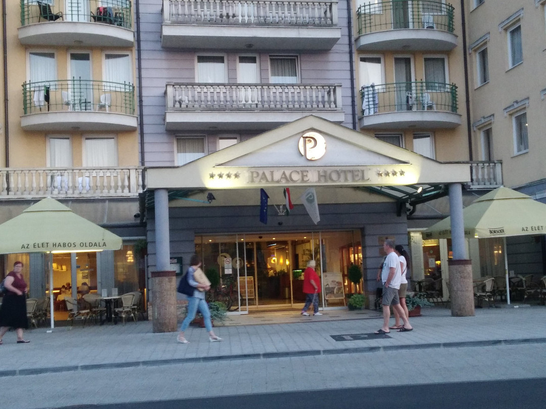 哈维兹宫殿酒店主图