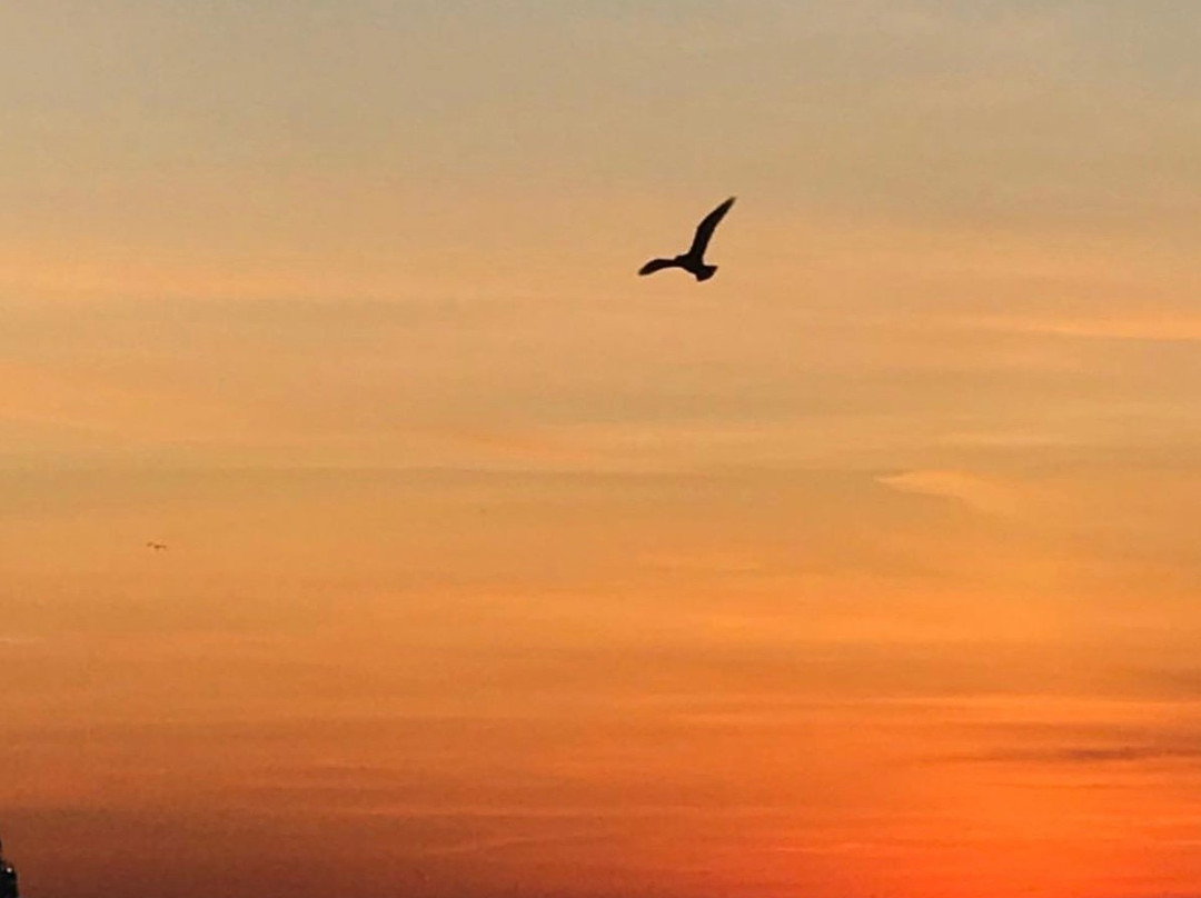 Parc Regard-sur-le-Fleuve-Sorel-Tracy必去景点