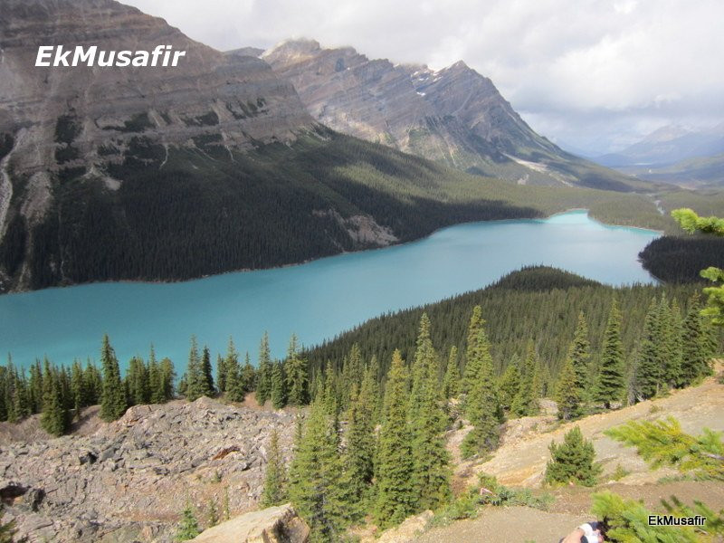 Bow Summit-班夫国家公园必去景点