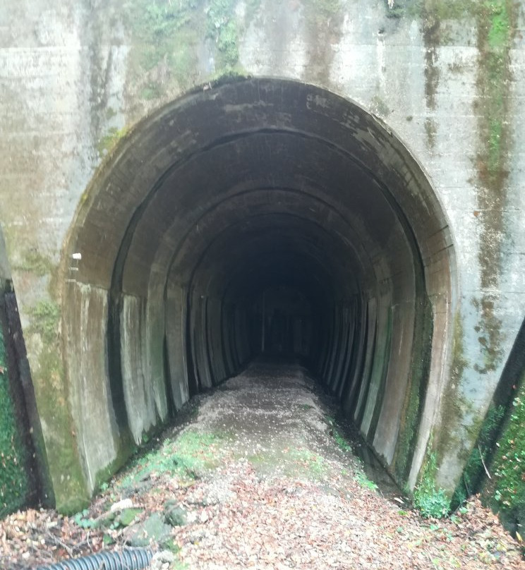 Yamanaka Tunnel景点图片
