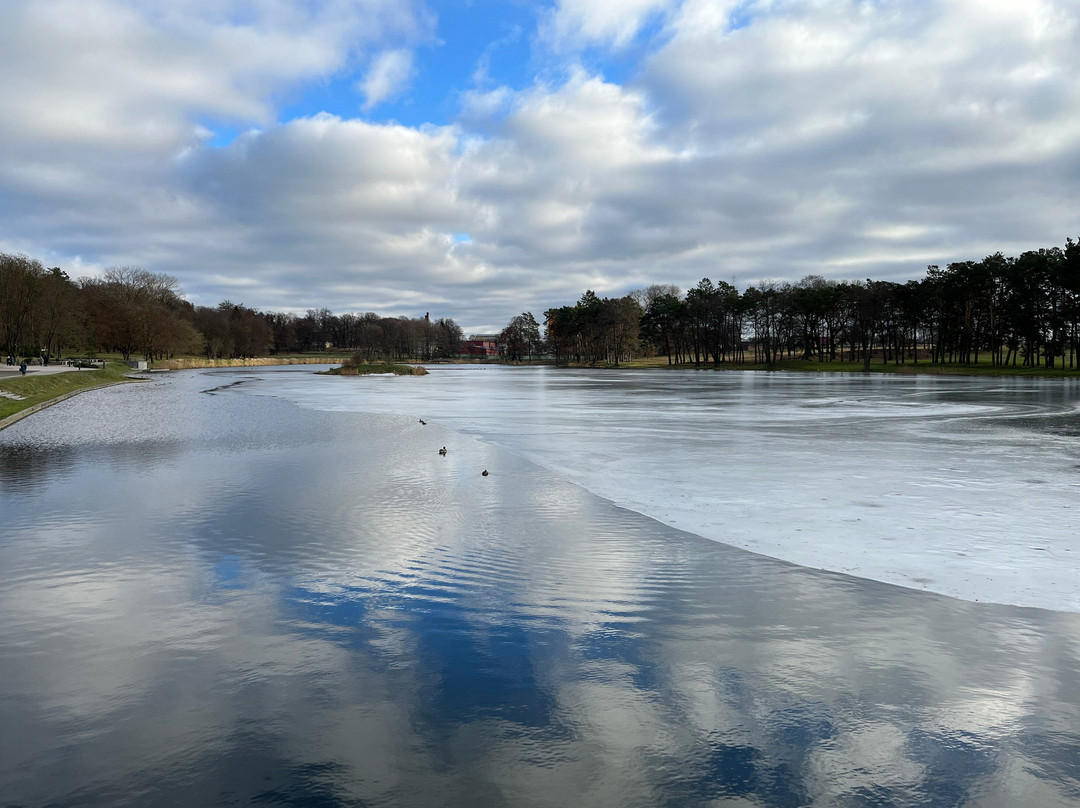 Mir Castle Park