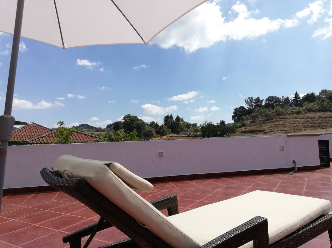 Hacienda Maxda主图