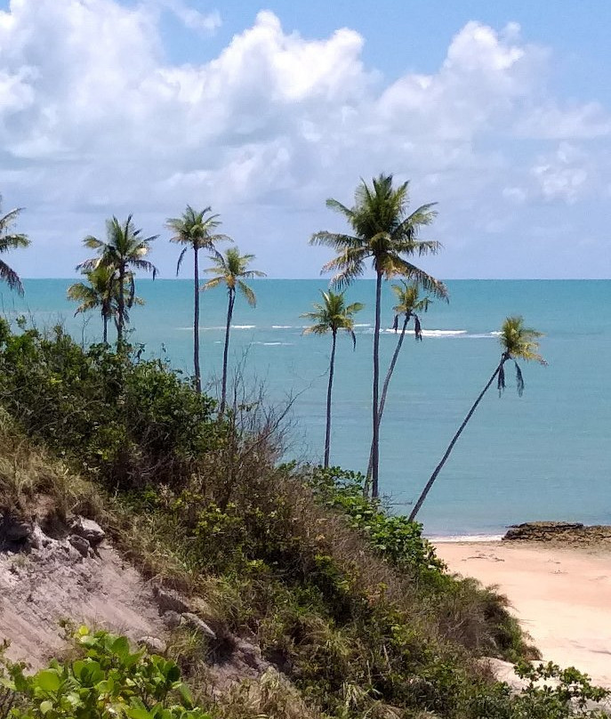 Moreira Beach-Cumuruxatiba必去景点