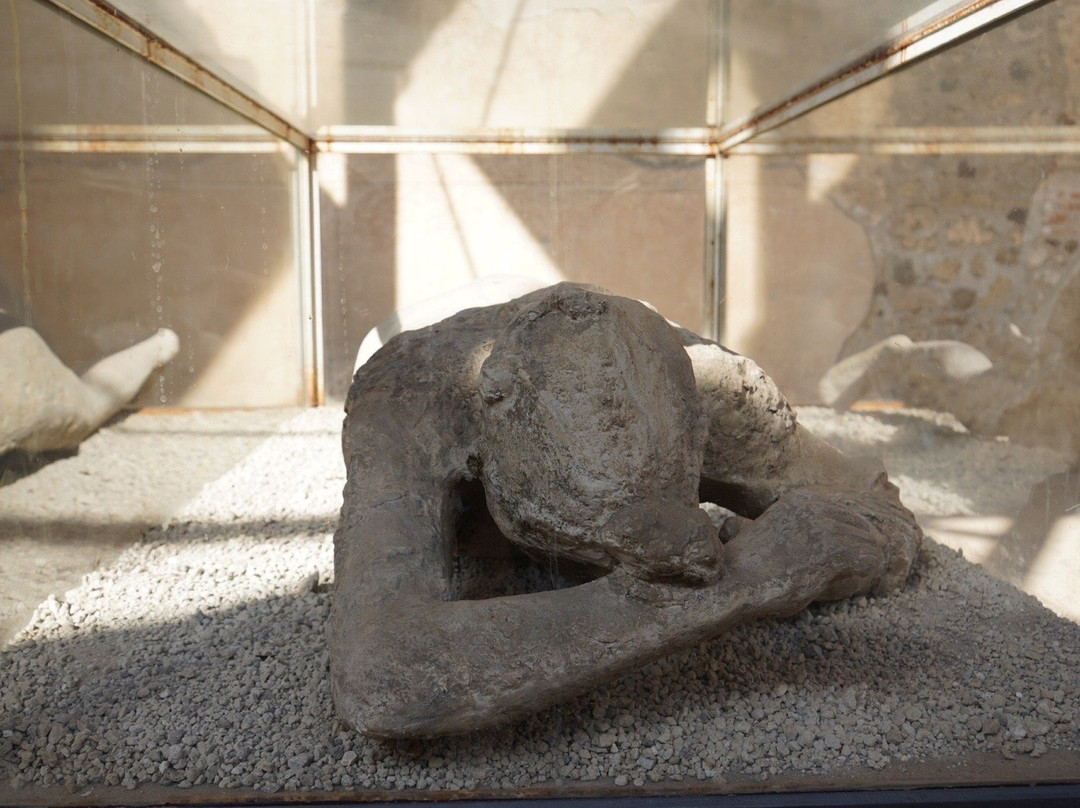 Museo Vesuviano Giovan Battista Alfano-庞贝必去景点